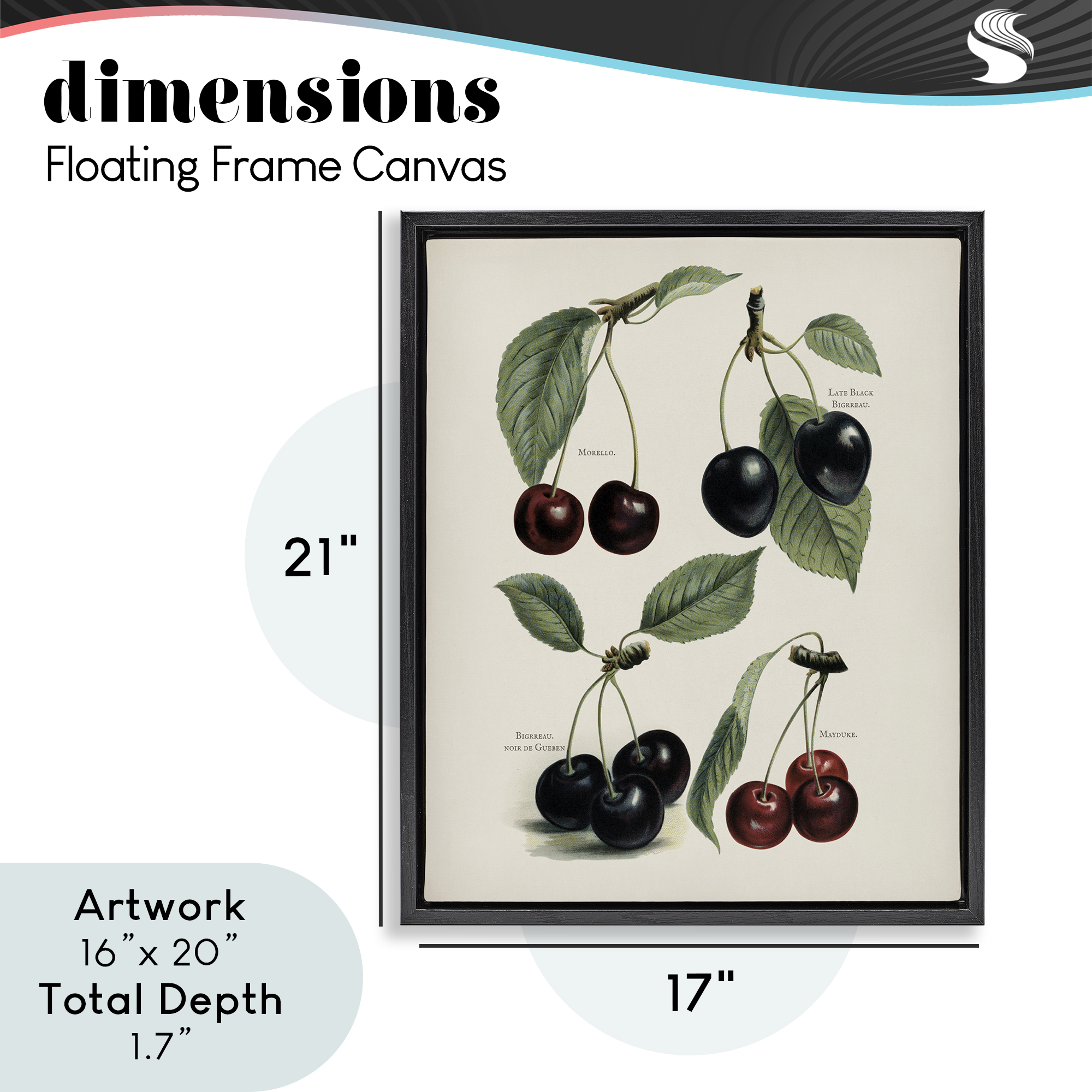 Natural Detailed Cherry Studies Black Framed Floater Canvas Wall Art, design by Lettered and Lined