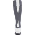 thumbnail image 1 of Chaussettes de Performance L Graphite/blanc, 1 of 1