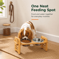 thumbnail image 5 of Raised Cat Bowl Stand, Dinosam  Elevated Cat Bowls, 6 Heights Adjustable Elevated Dog Bowls with 10oz 2 Stainless Steel, Adjusts to Heights 2.95"-6.89", 5 of 9