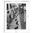 thumbnail image 5 of Art.com Owners with Their Black Cats, Waiting in Line For Audition in Movie Tales of Terror Photographic Print by Ralph Crane, White Frame Wall Art, 17" x 21", 5 of 5