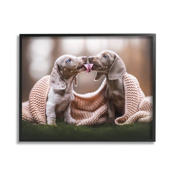 Stupell Industries Puppies with Blanket Animals & Insects Painting Black Framed Art Print Wall Art, 20 x 16