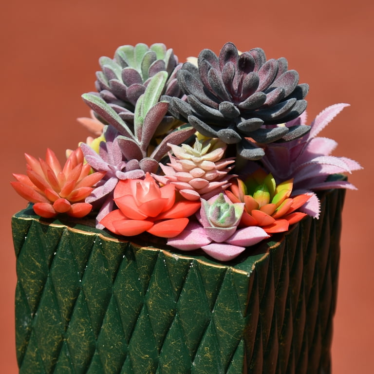 Thatswut - 15 Pack Bulk Large Assorted Realistic Artificial Faux Succulents  Aloe Plants Realistic Fake Succulent Plants - Walmart.com