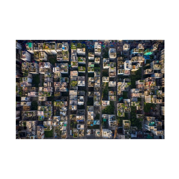 Trademark Fine Art Azim Khan Ronnie Rooftop Canvas Wall Art