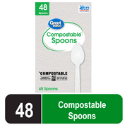 Great Value Disposable Compostable Biopolymer Spoon, Residential Single Use, White, 48 Count Pack