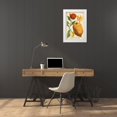thumbnail image 3 of Weinmann 23x32 White Modern Wood Framed Museum Art Print Titled - Exotic Citrus II, 3 of 4