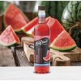 thumbnail image 2 of DaVinci Gourmet Watermelon Sugar Free Syrup, 25.4 fl oz + Gold Pump, 2 of 6