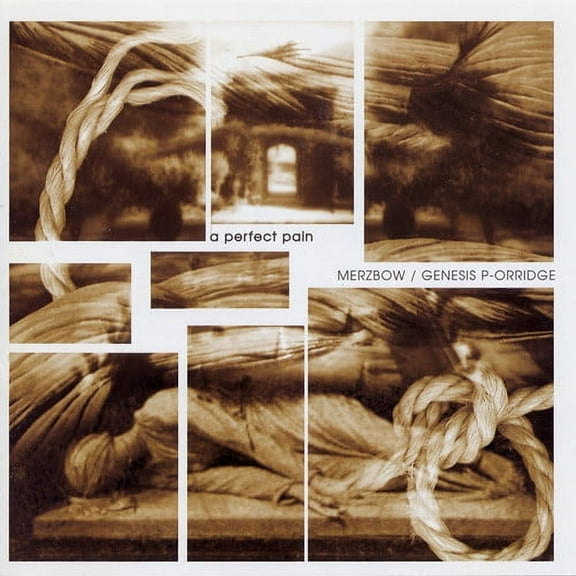 Merzbow / Genesis Breyer P-Orridge - A Perfect Pain - Music & Performance - CD