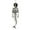 Coffee, variant on Halloween Hanging Skeleton Ornament For Outdoor Garden Party Themed Decoration Plastic Hanging Pendant