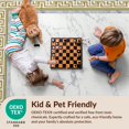 thumbnail image 4 of Design&I 3'x5' Ultra Soft Throw Mat, Greek Key Retro Border Frame Vintage Meander Bordered Geometric None Fluffy Washable Easy Care Indoor rug for Bedside Hallway, 4 of 7