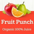 thumbnail image 2 of Juicy Juice Organics 100% Juice, Fruit Punch, 8 Count, 4.23 fl oz Juice Boxes, 2 of 14