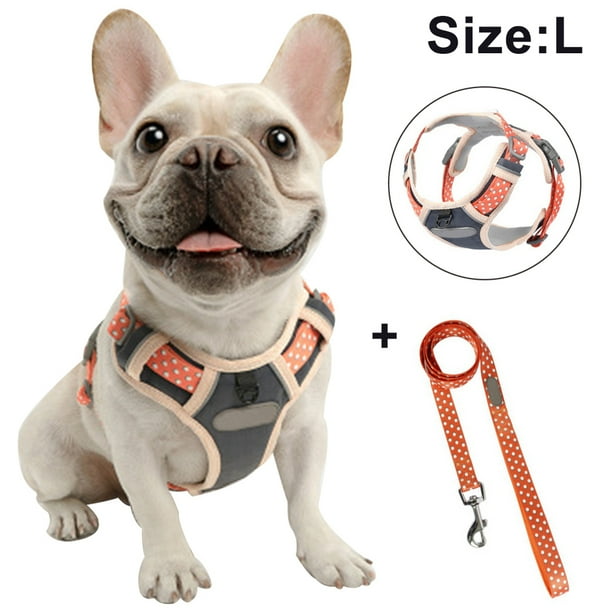 Arnés para el pecho para perros, cuerda de tracción, chaleco transpirable para mascotas para caminar al aire libre, control de entrenamiento para razas medianas y grandes Xemadio 2034480-7