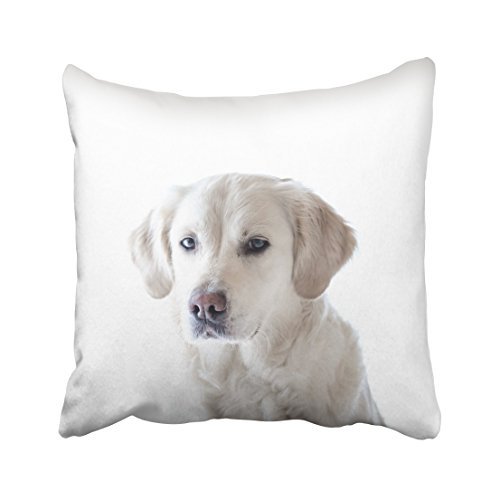 RYLABLUE Cute White Labrador Lovely Simple Decorative Pillowcases With Hidden Zipper Decor Cushion Covers Two Sides 20x20 inches