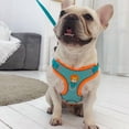 thumbnail image 4 of AIITLE No Pull Dog Harness and Leash Set, Step in Adjustable Dog Harness with Padded Vest for All Weather, Reflective Adjustable Pet Harness, Easy to Put on Small Dogs Blue, 4 of 12