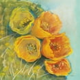thumbnail image 2 of Rowan, Carol 26x26 Gold Ornate Wood Framed with Double Matting Museum Art Print Titled - Blooming Succulent II, 2 of 4