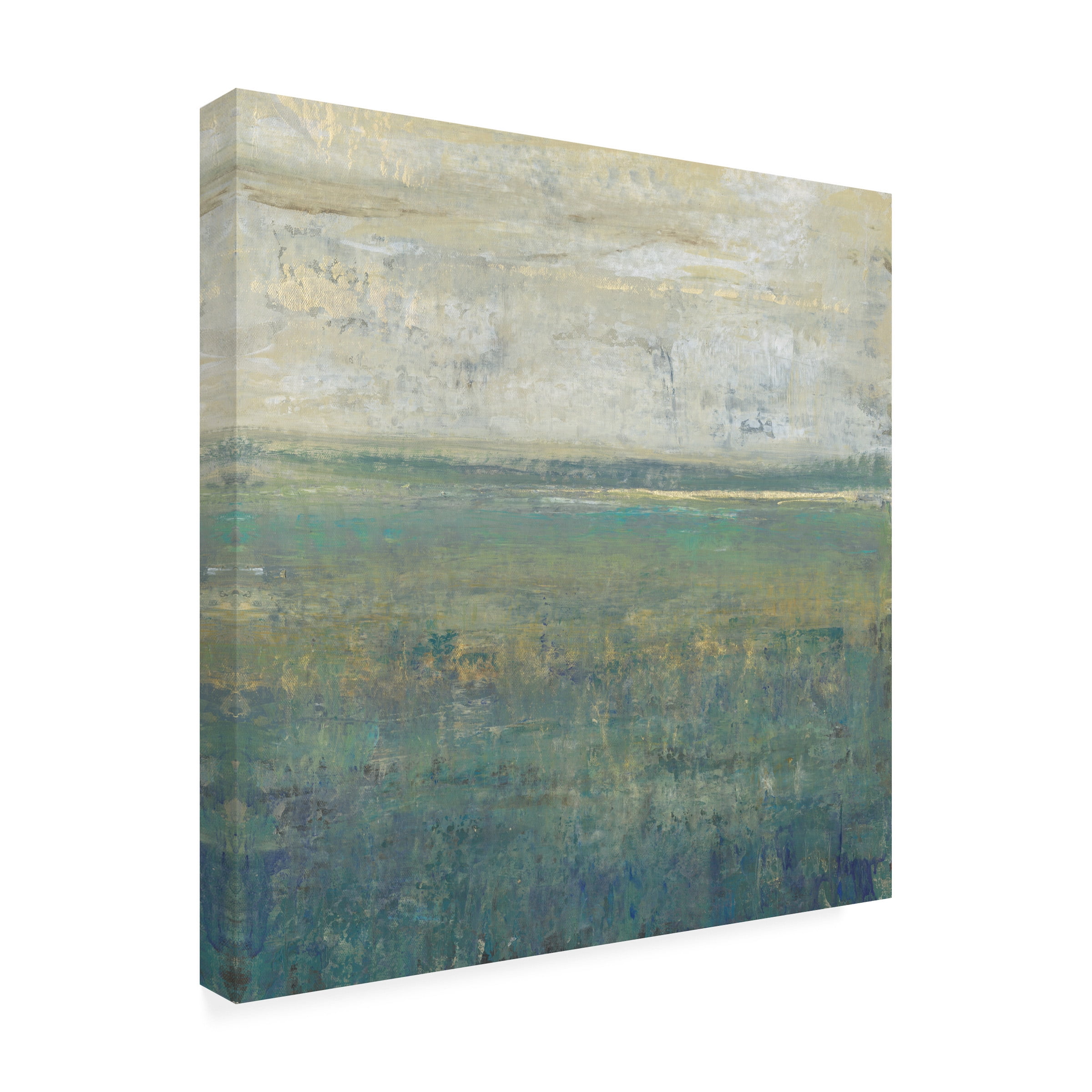 Tim OToole 'Sage Terrain I' Canvas Art
