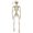 S, variant on Halloween Skeleton Ghost House Decoration Props, Skeleton Moving Skeleton Simulation Human Skeleton Decoration for Spooky Displays