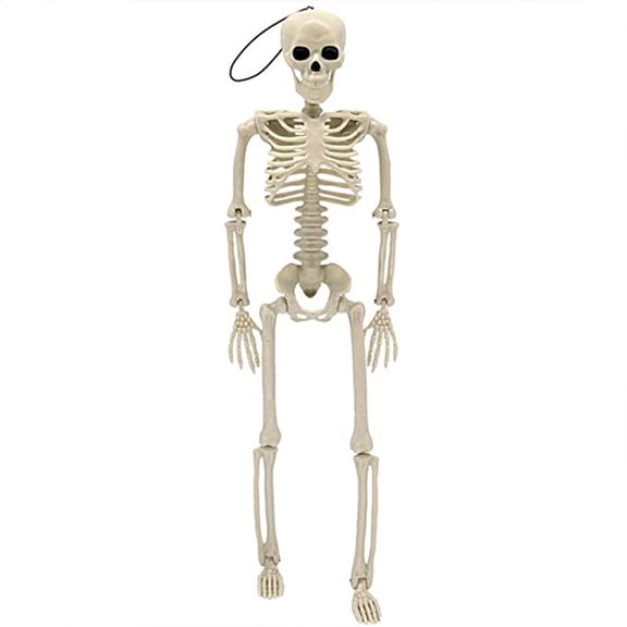 Halloween Skeleton Ghost House Decoration Props Skeleton Moving Skeleton Simulation Human Skeleton Decoration