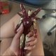 thumbnail image 5 of Figura de acción de Marvel Spider-Man Hulk de 4 pulgadas, modelo de juguete pequeño, minimuñeca de PVC, decoración de escritorio para coche, regalos de cumpleaños para niños, 5 of 5