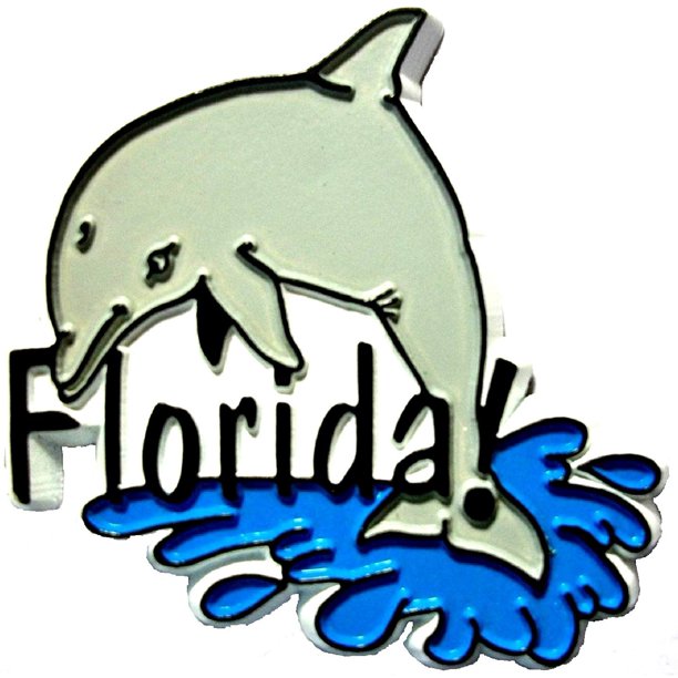 Florida with Dolphin Fridge
