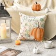 thumbnail image 3 of Funda de almohada decorativa con diseño de calabaza de Hello, 45,7 x 45,7 cm, con diseño de hojas de otoño, setas y cosecha de Acción de Gracias para sofá, 3 of 4