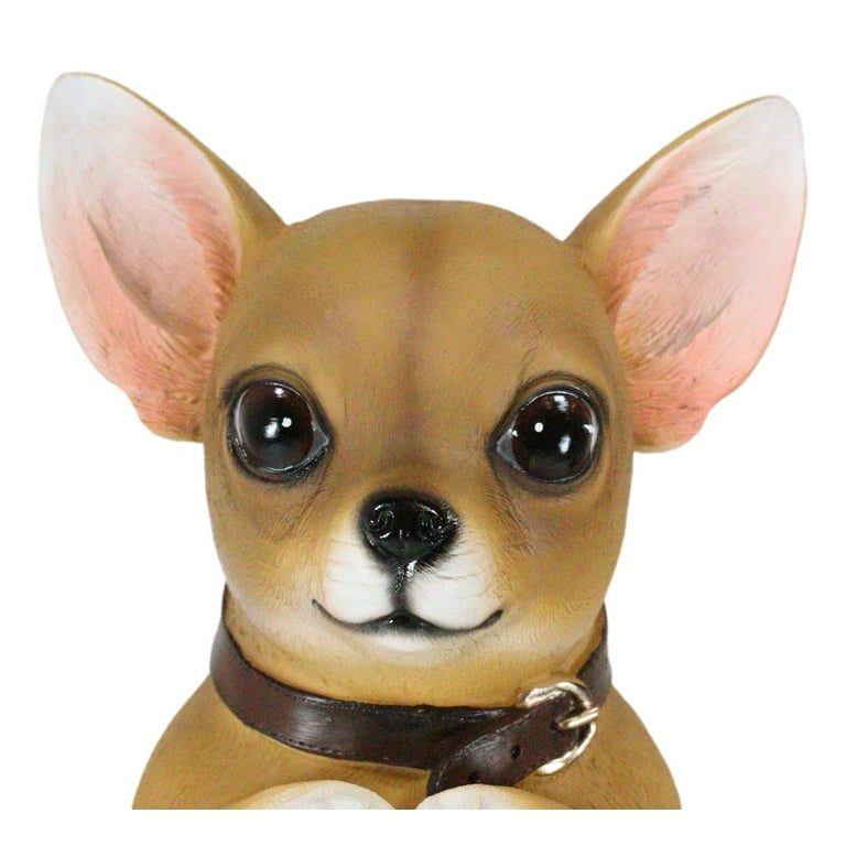 INABA／SALAS 「ATOMIC CHIHUAHUA」 849497.1.jpg?v=sqw5u3&width=
