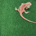 thumbnail image 4 of Enhances Pets Habitat with Non-slip Reptiles Carpet the Perfect Addition for Small Pets Ensuring Safety and Stability 80x40cm, 4 of 4