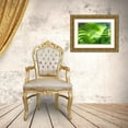 thumbnail image 3 of Jenny Rainbow Fine Art 32x23 Gold Ornate Wood Framed with Double Matting Museum Art Print Titled - Healing Art Fern Leaves, 3 of 4