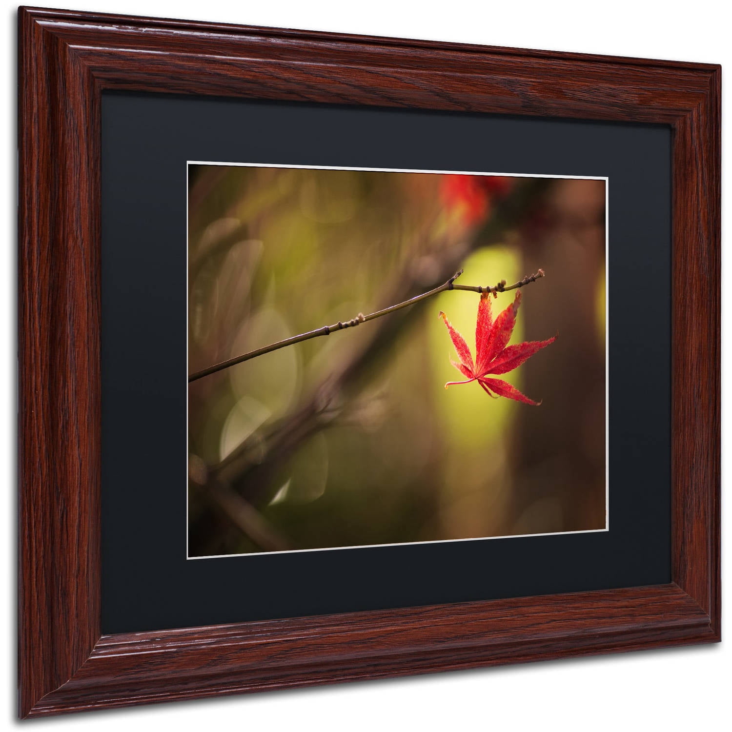 Trademark Fine Art "Don't Give Up" Canvas Art by Philippe Sainte-Laudy Black Matte, Wood Frame