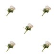 thumbnail image 1 of Destyer 1/2/3/5 Coffre-Fort et Réutilisables Mariage Boutonnière - Apparence Réaliste Large Épingle d'Application Fixation Broches Tissu Fleurs Vert 5PCS, 1 of 6