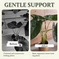 thumbnail image 3 of Stem Organizer Outdoor Clear Support Branches Reusable Plant Stem Support Holder Plant Retaining Support Plant Stem Support Turtle Shell Bamboo Clamp A, 3 of 8