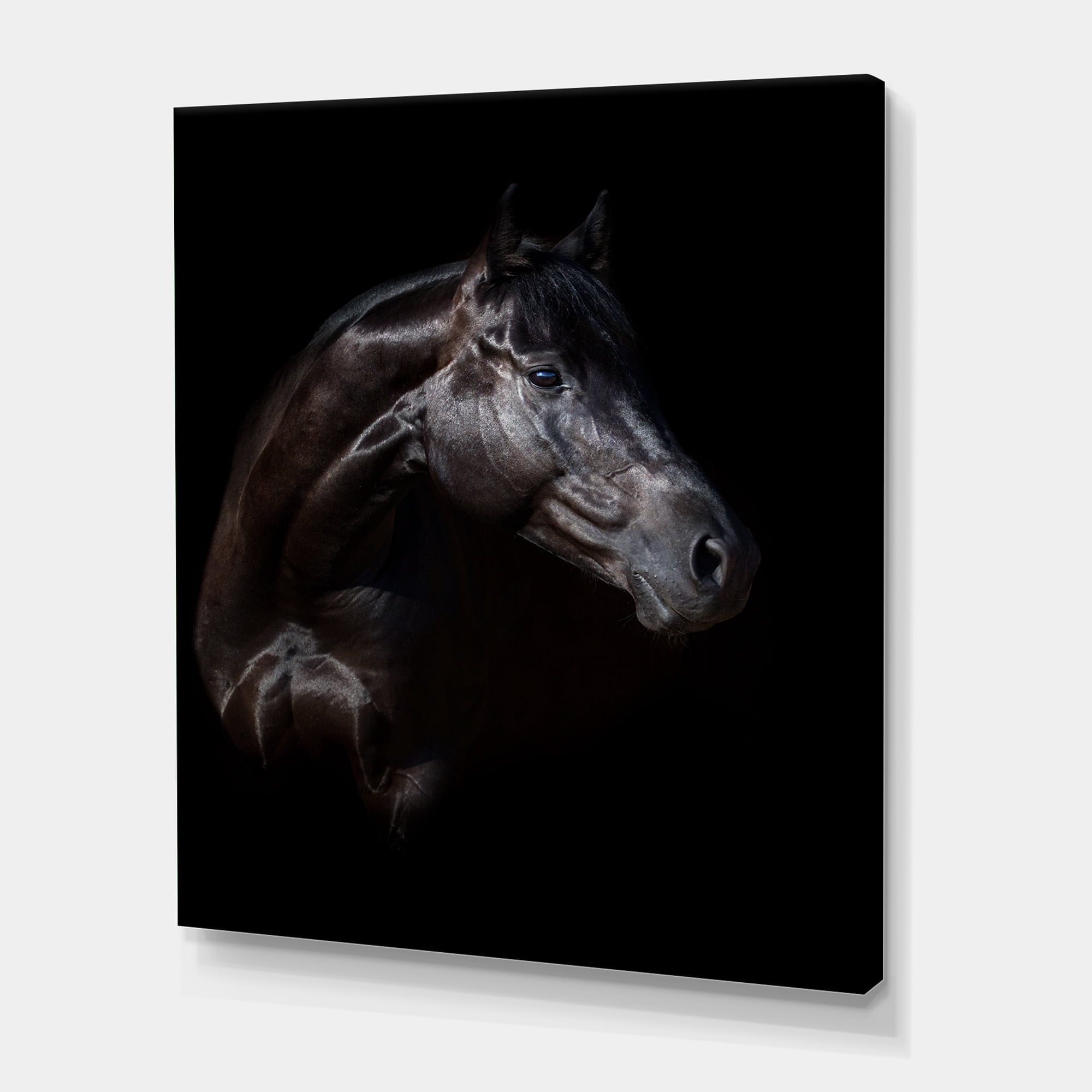 Designart ' Silhouette Of Horse and Woman ' Farmhouse Canvas Wall Art Print