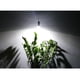 thumbnail image 5 of Bombilla LED para cultivo de plantas kusrkot E27 para invernadero hidropónico interior Blanco, 5 of 8