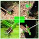 thumbnail image 4 of Effortless Stand-Up Weeder, Long Handle Weed Puller with 3 Steel Claws, Garden Lawn Root Remover Weeding Tool, 4 of 5