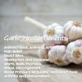 thumbnail image 6 of US-FARMERS All Natural Dehydrated Garlic Flakes Dry Slice Dried Garlic Garlic chips in Jar (3lb), 6 of 11