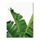 thumbnail image 1 of Cuadro moderno al óleo sobre lienzo con hojas de plantas tropicales sin marco, ideal para el hogar. L, 1 of 9
