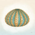 thumbnail image 3 of Gango Home Decor Coastal Boardwalk Scallop & Urchin by Elyse DeNeige (Ready to Hang); Two 12x12in White Framed Prints, 3 of 5