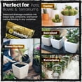 thumbnail image 3 of Wakefield Biochar Biochar Blend for Cactus & Succulents - CarbonBoost - 2 Quart, 3 of 8