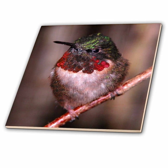 3dRose, Anna Hummingbird, 6 Inch Ceramic Tile