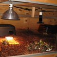 thumbnail image 4 of Lámpara de calor de cerámica, emisor de bombilla de cerámica infrarroja negra, incubadora de reptiles y mascotas para serpiente, lagarto, Rana, 1 ud., 4 of 5