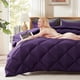 thumbnail image 2 of Juego de edredón Decroom Lightweight Queen con 2 fundas de almohada, 2 of 8