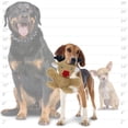 thumbnail image 4 of CHUANK Microfiber Ball Reindeer  Holiday Squeaky Dog Toy, 4 of 7