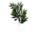 thumbnail image 1 of Plantas artificiales Wosthever 10 piezas realistas con hojas de seda, 1 of 6