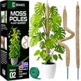 thumbnail image 1 of Soportes para plantas K-Brands, paquete de 2, tutores de musgo flexibles de 71 cm, 1 of 6