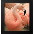 thumbnail image 2 of Wechsler, Robin 12x13 Black Modern Framed Museum Art Print Titled - Portrait Of A Pink Flamingo, 2 of 5