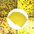 thumbnail image 3 of 50 Uds. Trampas para Moscas Fuertes  Tablero Adhesivo Insectos Mata Plagas, 3 of 8