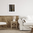 thumbnail image 2 of Stupell Industries Autumnal Birch Tree Trunks White Framed Print Under Glass design by Julie Peterson, 16 x 13, 2 of 10