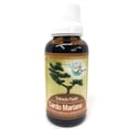 thumbnail image 1 of Cardo Mariano Extracto Fluido 30 Ml Green House (Protector Hepático). Green House GRHCARDOMARIANOFLUIDO, 1 of 2