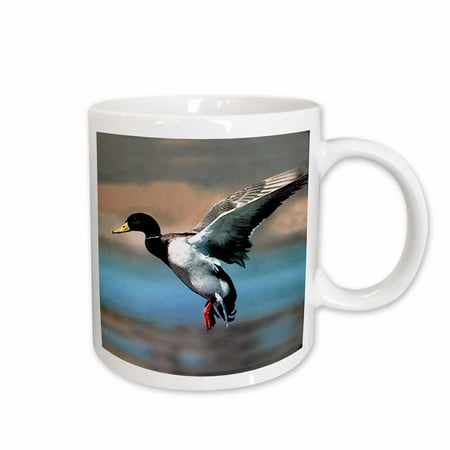 

Mallard Duck 11oz Mug mug-881-1