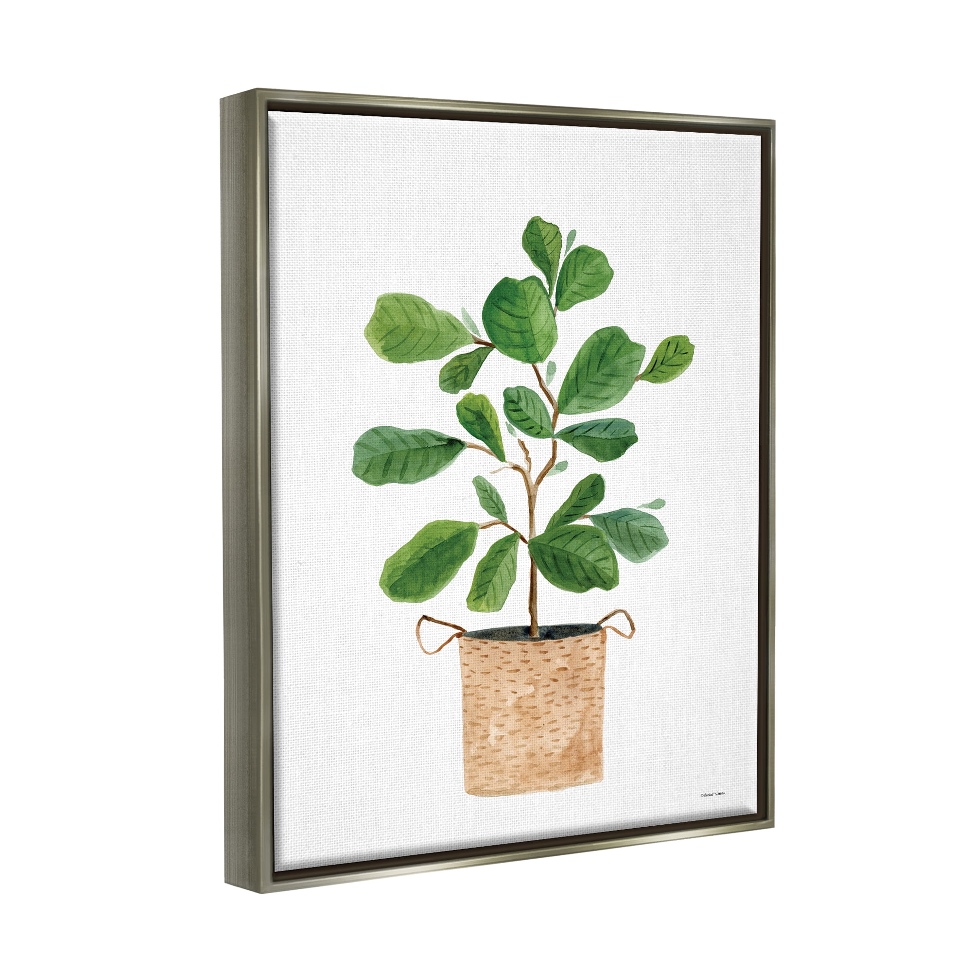 Stupell Casual House Plant Botanicals Botanical & Floral Painting Gray Floater Framed Art Print Wall Art