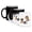 Multicolor, variant on 3drose, Funny Pug Dog and Cavalier Puppy Dog Playing on Seesaw Cartoon, 11oz Magic Transforming Mug